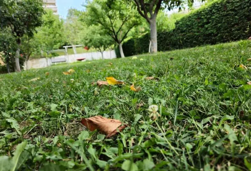 Pensiunea Sun Victor