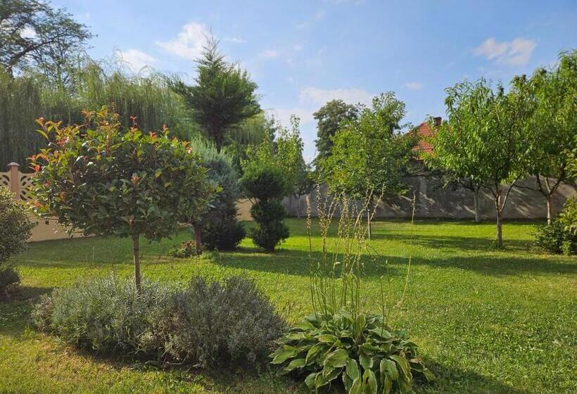 Pensiunea Sun Victor