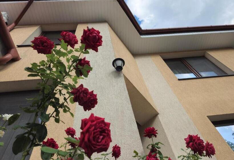 Pensiunea Sun Victor