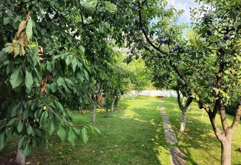 Pensiunea Sun Victor