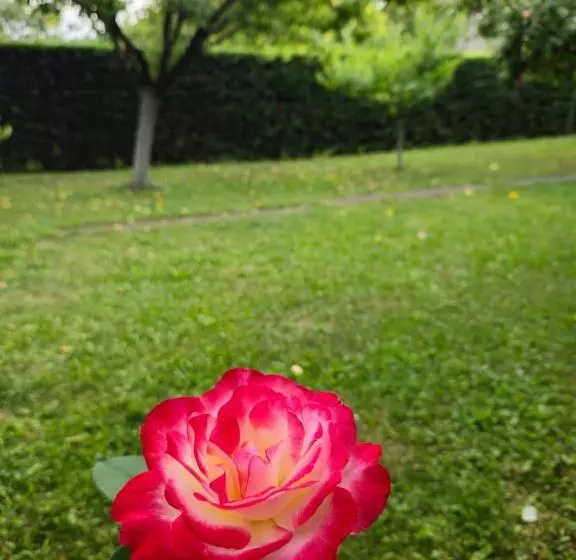 Pensiunea Sun Victor