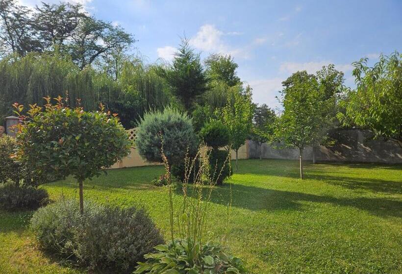 Pensiunea Sun Victor