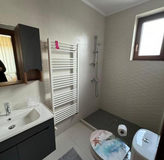 Pensiunea Sun Victor