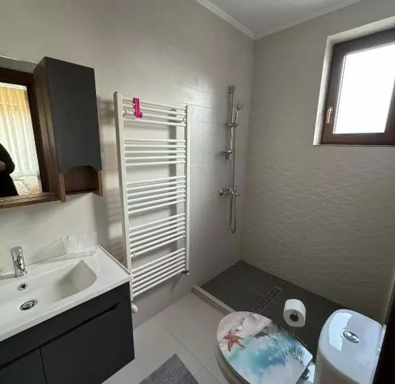 Pensiunea Sun Victor