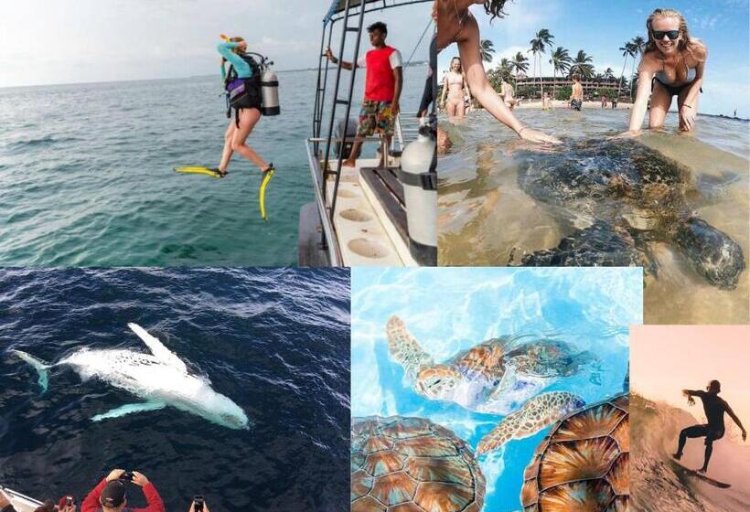 Kapselihotelli Kurumi Capsule