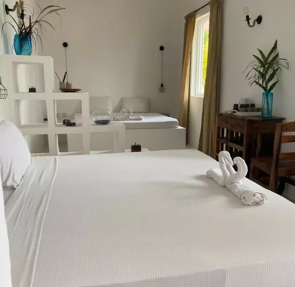 Retkeilymaja Cactus Lodge Zanzibar