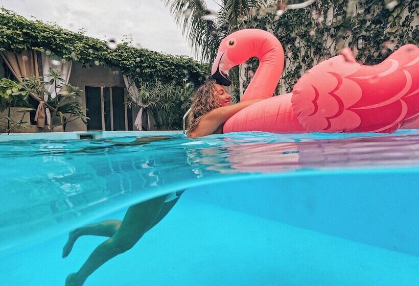 فندق صغير Cactus Lodge Zanzibar