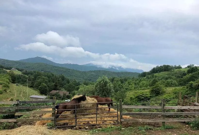 On Top Of The World At Sugar Top Resort