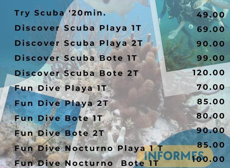 پانسیون Divershostalcozumel