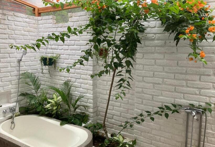 Отель La Costa Salango