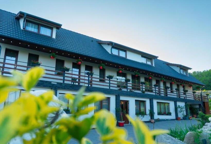 Pensiunea Fata Viilor