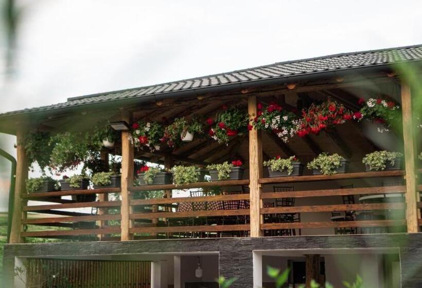 Pensiunea Fata Viilor