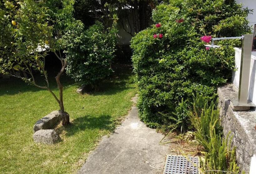 فندق Airporto Hostel