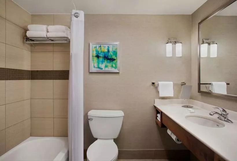 هتل Hilton Garden Inn Lubbock