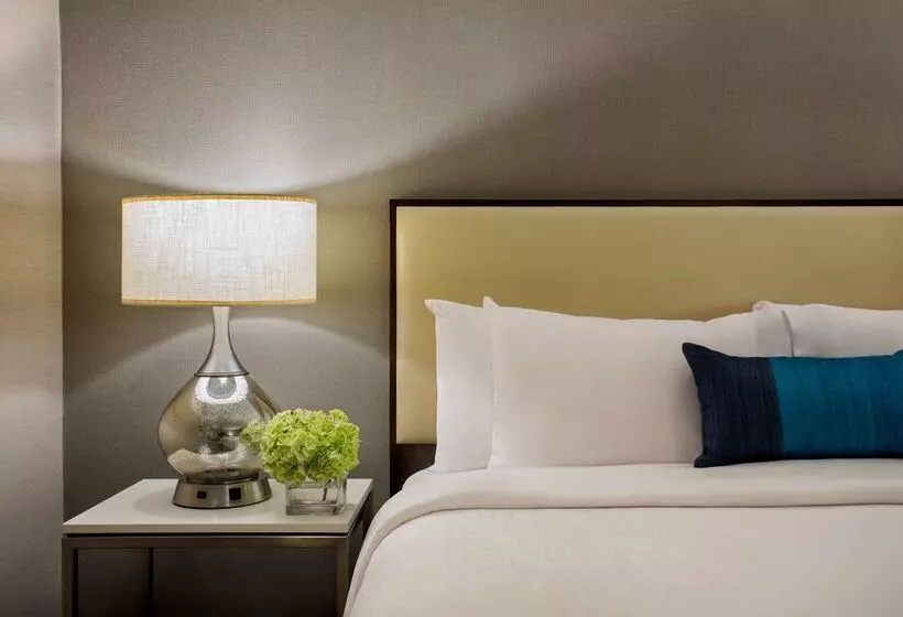هتل Hilton Garden Inn Lubbock