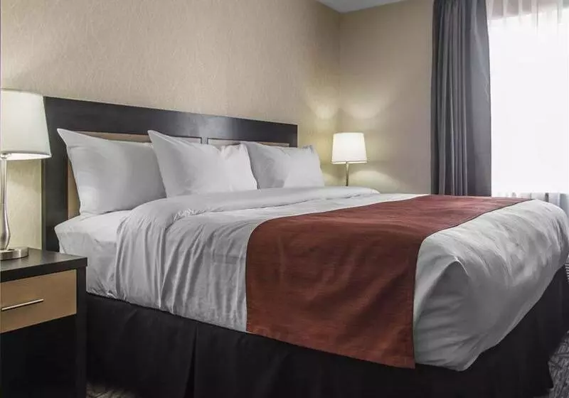 هتل Quality Inn & Suites Kingston