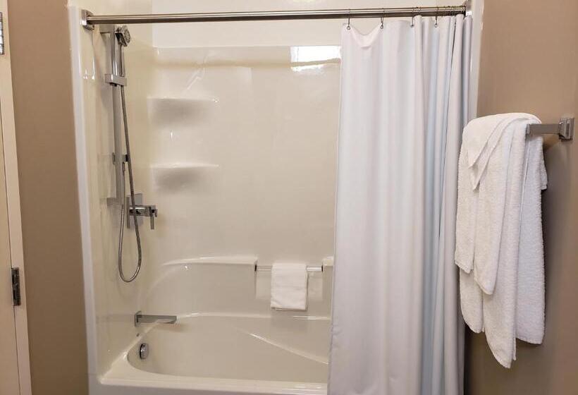 酒店 Super 8 By Wyndham Mont Laurier