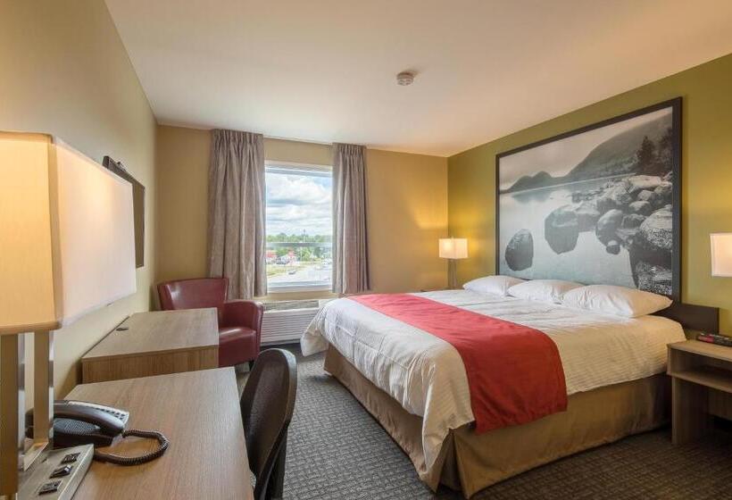 酒店 Super 8 By Wyndham Mont Laurier