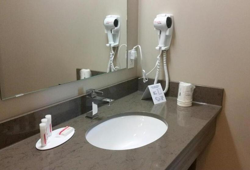 酒店 Super 8 By Wyndham Mont Laurier