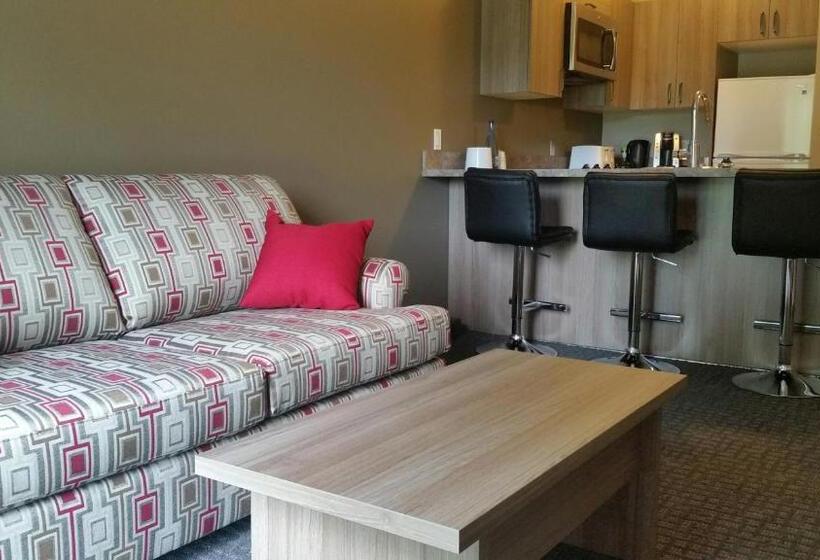 酒店 Super 8 By Wyndham Mont Laurier