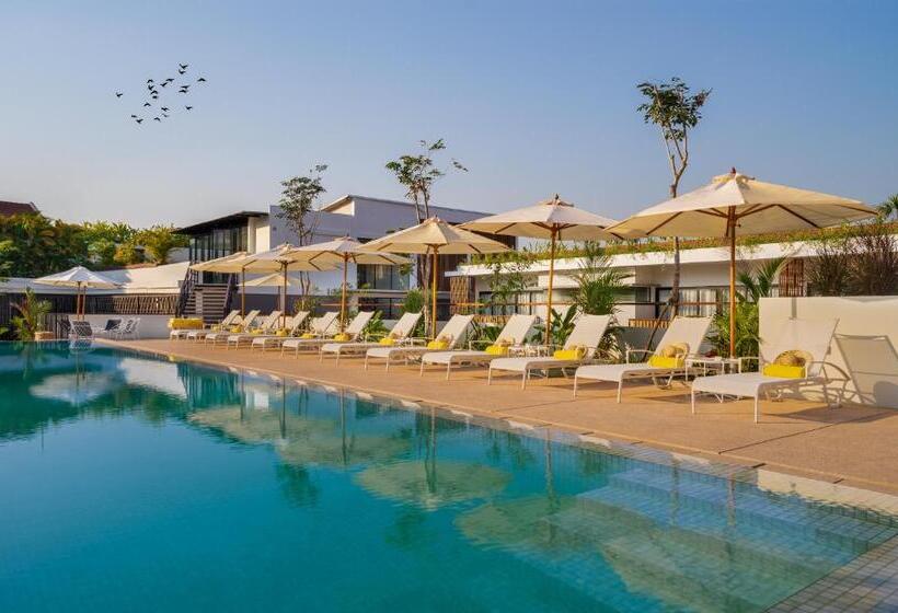 Отель The Aviary