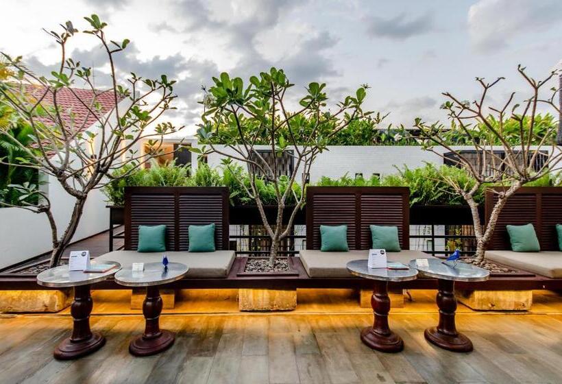 Отель The Aviary