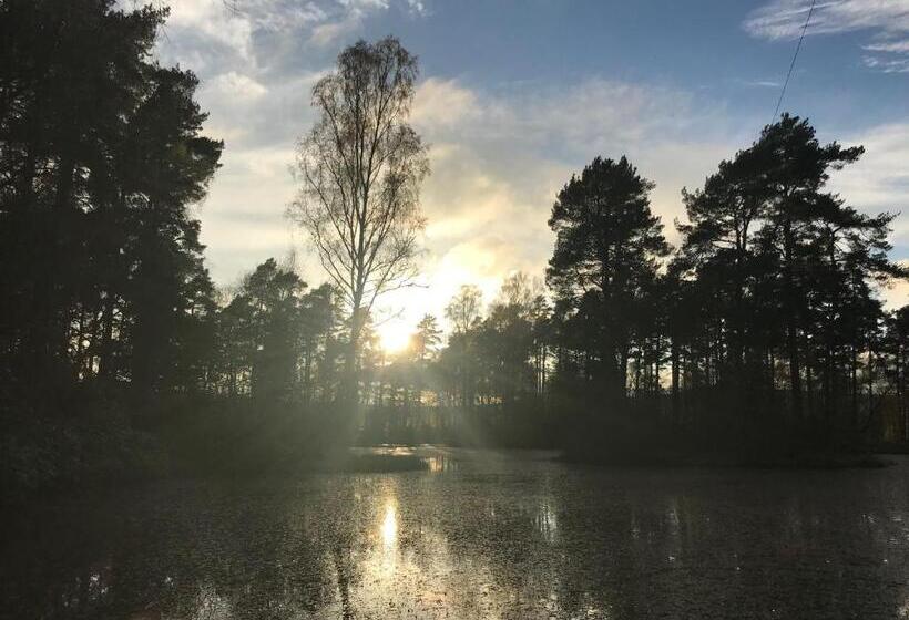 호텔 The Coach House