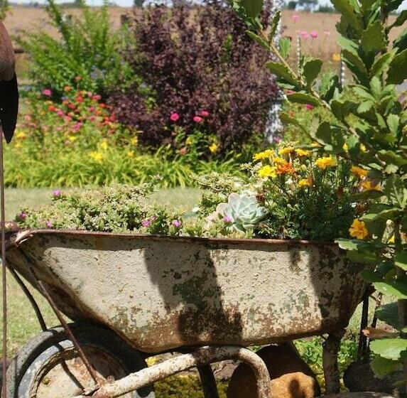 Пансион Mountain View Guest House