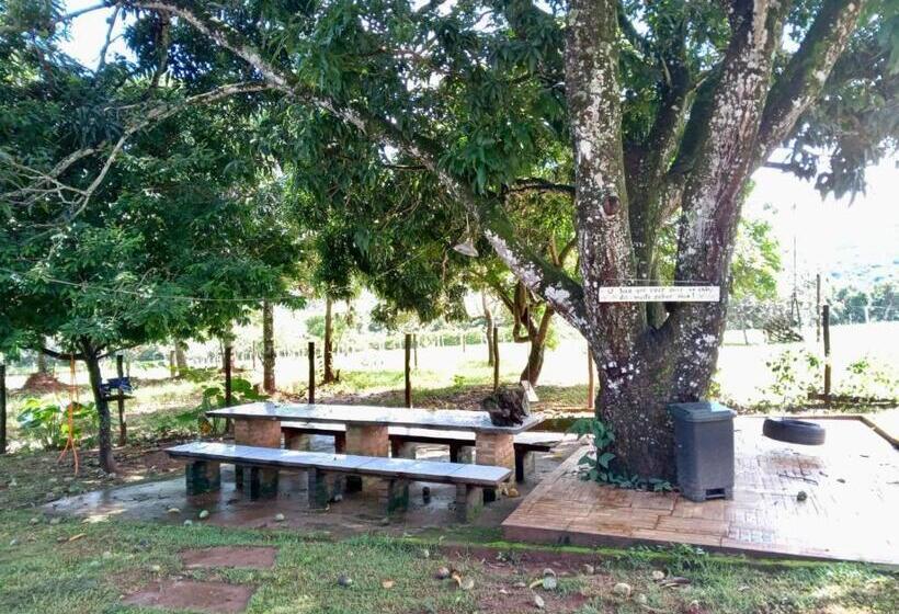 Albergue Pousada Coqueiros