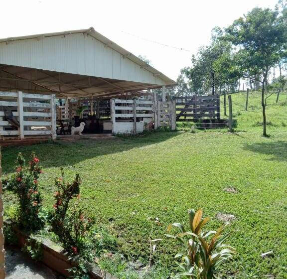 Albergue Pousada Coqueiros