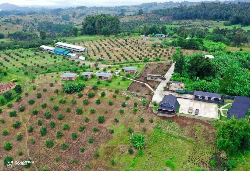 ホテル Kalongo Farm Ecosystem Homes