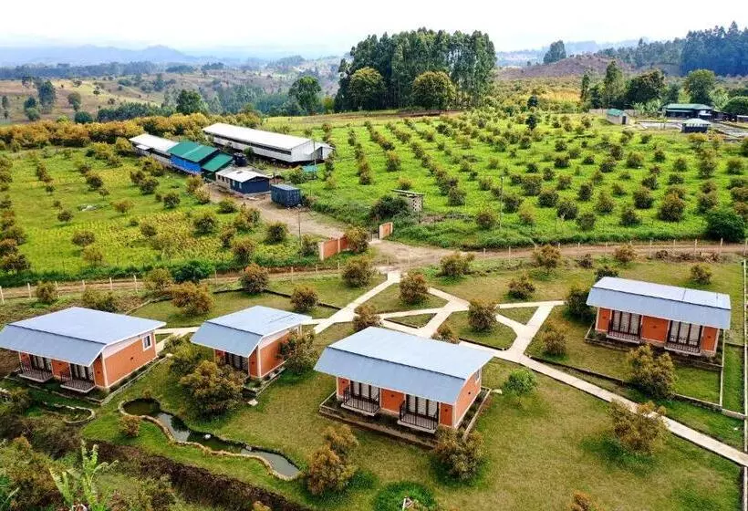 ホテル Kalongo Farm Ecosystem Homes