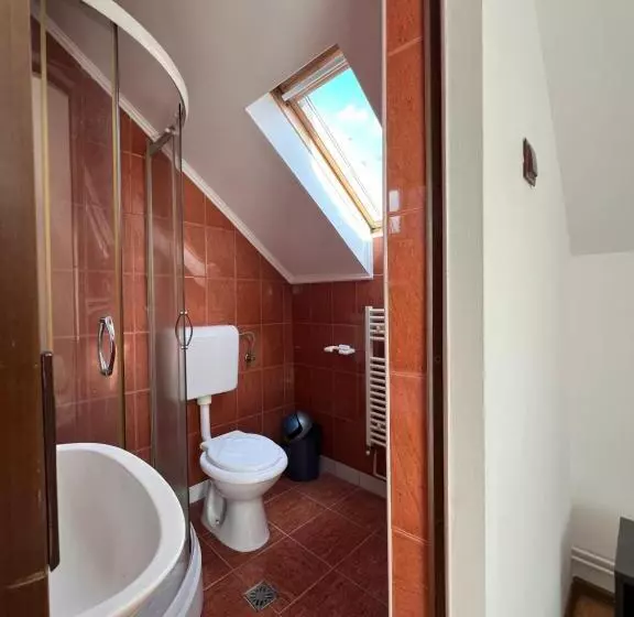 Pensjonat Casa Tofalvi