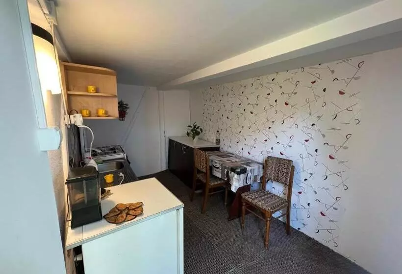 Pensjonat Casa Tofalvi