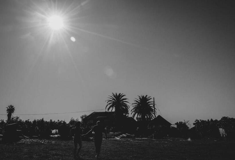 פנסיון Pecan Guesthouse