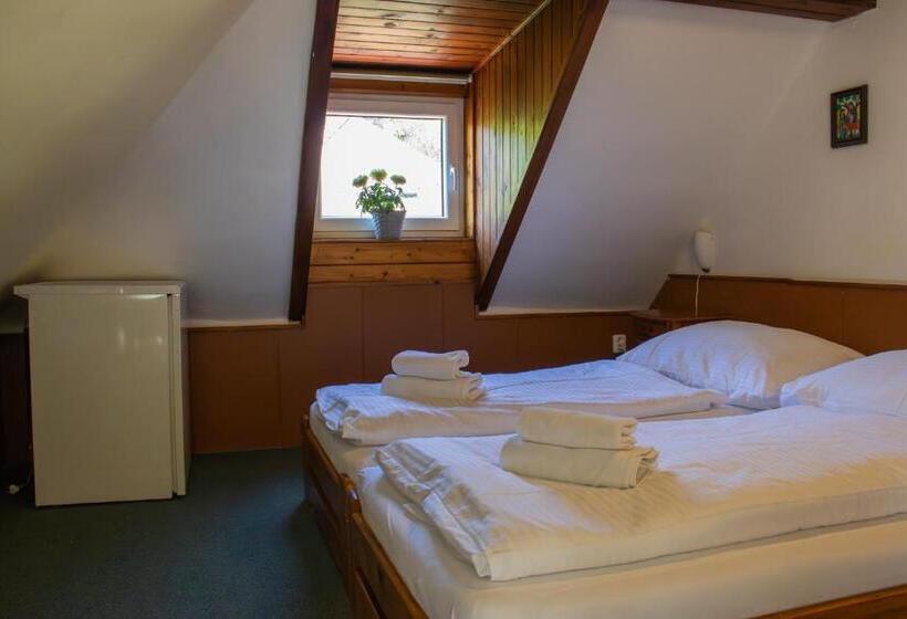 ペンション Penzion Zvonice Hojná Voda