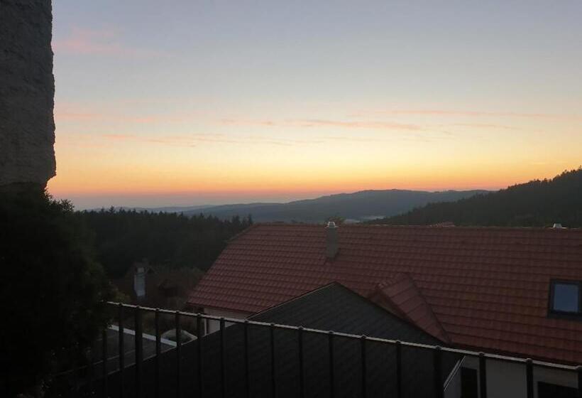 ペンション Penzion Zvonice Hojná Voda