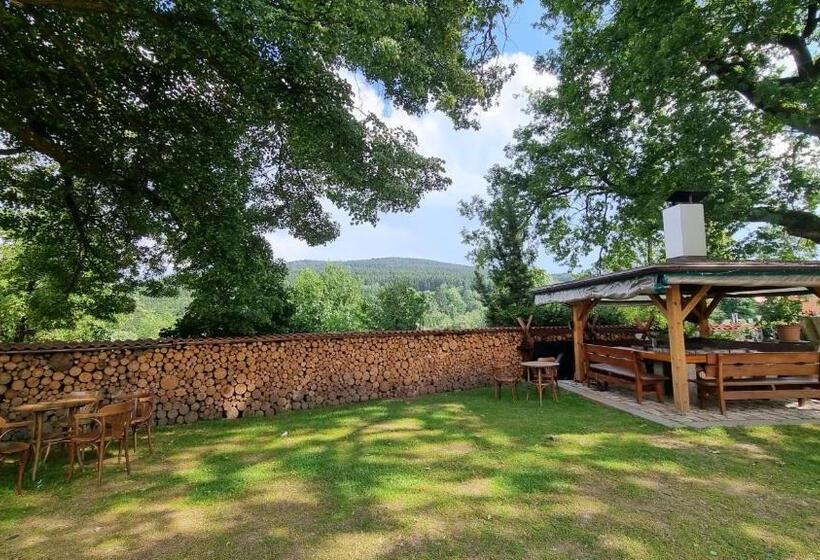 ペンション Penzion Zvonice Hojná Voda