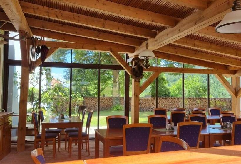 ペンション Penzion Zvonice Hojná Voda