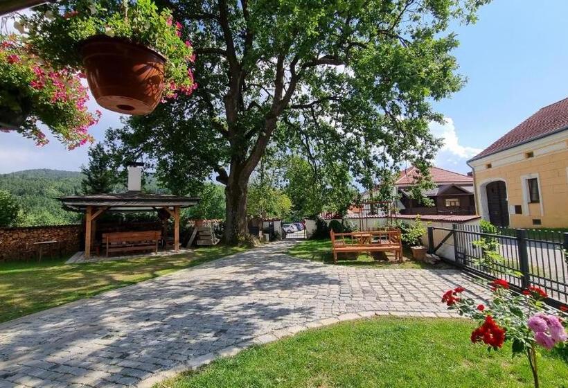 ペンション Penzion Zvonice Hojná Voda