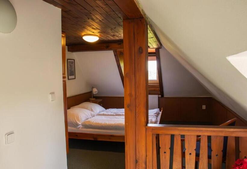 ペンション Penzion Zvonice Hojná Voda