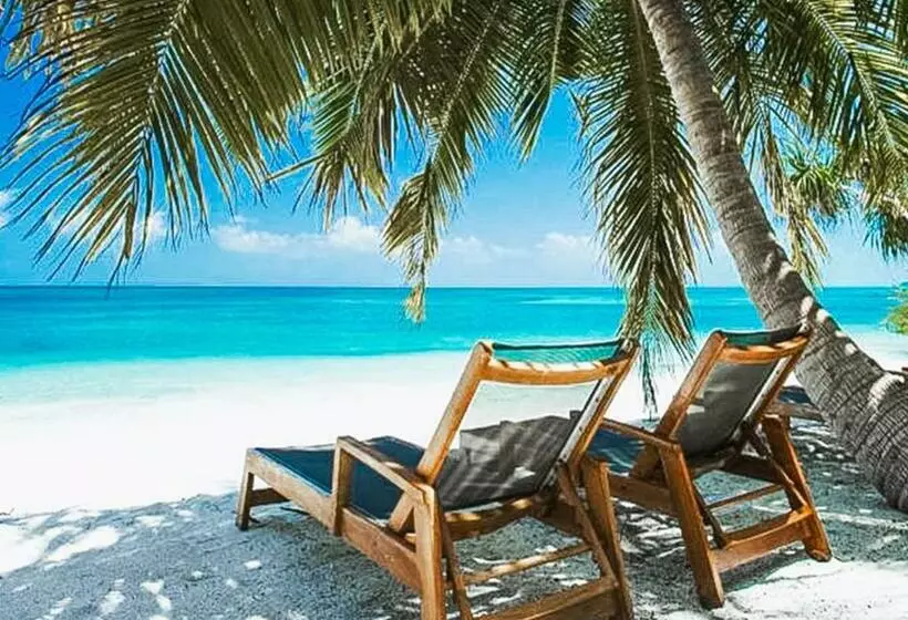 پانسیون Tropical Tree