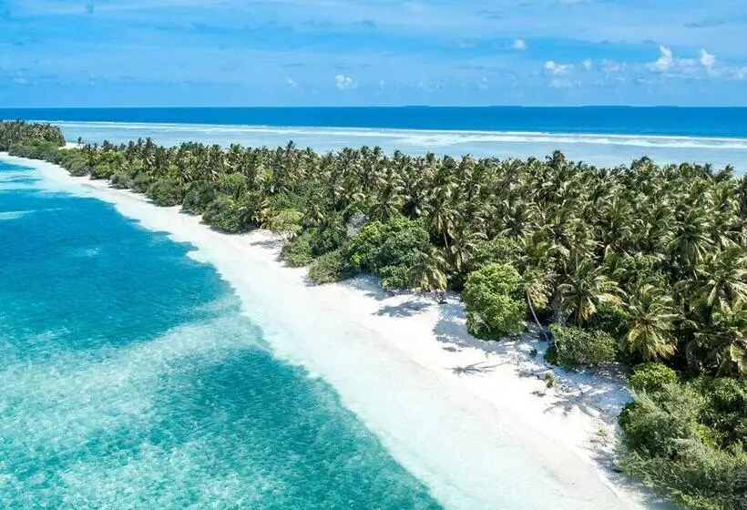 پانسیون Tropical Tree