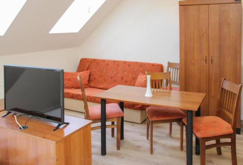 تختخواب و صبحانه Pensiunea Praid Parajd Panzió