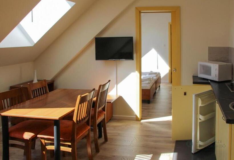 تختخواب و صبحانه Pensiunea Praid Parajd Panzió