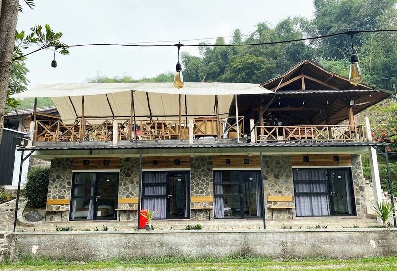 Отель Shine River