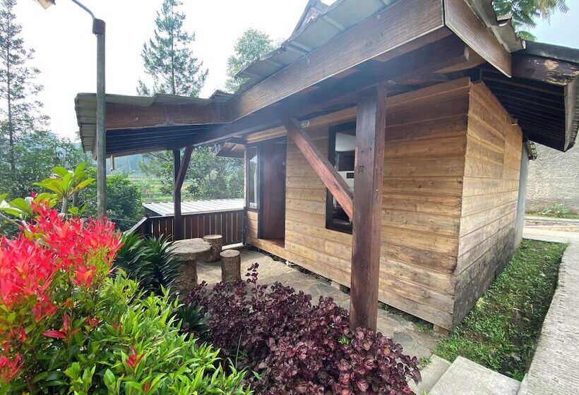 Отель Shine River