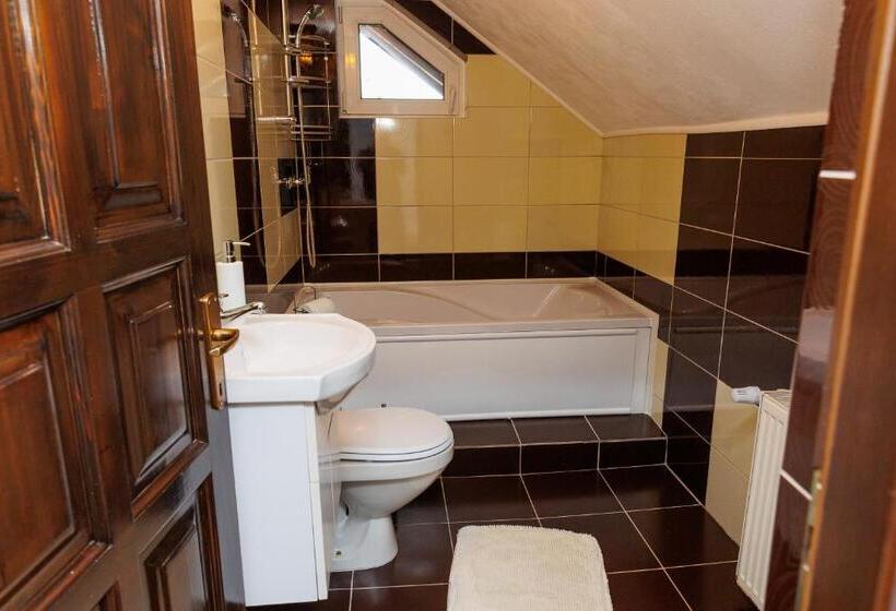 تختخواب و صبحانه Casa Iager Vama Buzaului