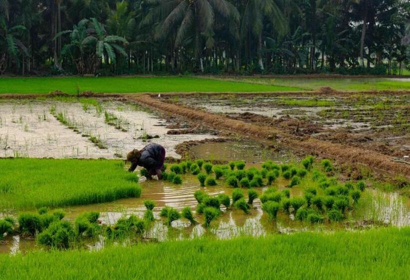 Hôtel Vintage Vista