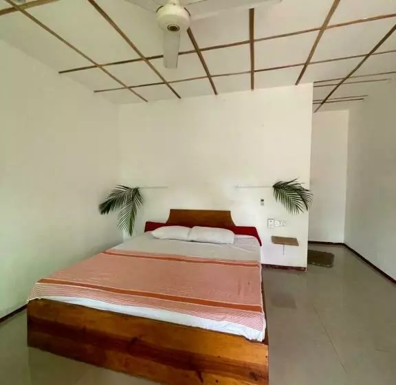 Lime Wood Hostel